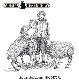 farmer feeding sheep