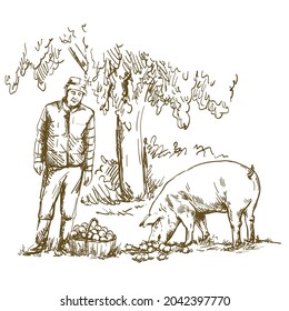 A farmer feeds apples to a pig. Vector drawing