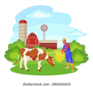 A Farmer Feeds Hay To A Cow At His Ranch Farm. The Concept Of Animal Husbandry, Production Of Milk And Dairy Products, Family Business, Production Of Environmentally Friendly Natural Food.