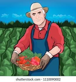 Farmer in field, vector illustration, colorful cartoon graphic drawing. Elderly men keep in hand basket of fresh vegetables against the background of fields and garden bed, forest and blue sky