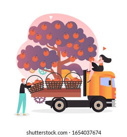 Farmer or gardener loading truck with baskets full of apples, vector illustration. Apple fruit harvesting concept for web banner, website page etc.