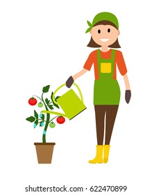Farmer Gardener Woman with Watering Can and Tomato Plant in Modern Flat Style Vector Illustration EPS10