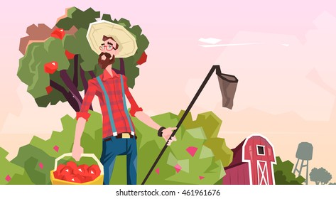 Farmer Gather Apples In Garden Fruit Harvest Flat Vector Illustration