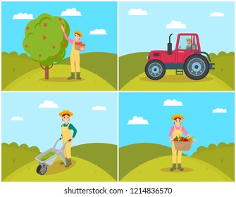 Farmer gathering apples set. Tractor on field agricultural machinery in use. Compost cart and wicker basket with vegetables, tomatoes and peppers vector