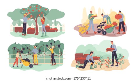 Farmer Gathering Fruit, Berry, Vegetable Harvest Set. Garden Agriculture Horticulture Autumn Crop Collection. Harvesting Agrarian People Doing Farming Job. Man Woman Working Together In Garden