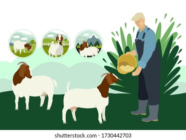 Farmer and goats Flat vector illustration Organic farm set