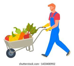 Farmer going with vegetables in cart, harvesting tomato, pumpkin and carrot, beet and potato, bell pepper. Agricultural worker with fresh products vector