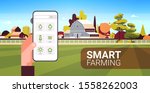 farmer hand holding smartphone monitoring condition controlling agricultural products organization of harvesting smart farming concept farm building landscape background horizontal copy space vector