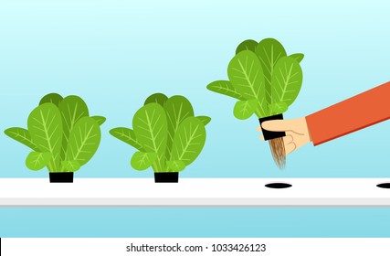 植物工場 のイラスト素材 画像 ベクター画像 Shutterstock