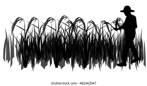 farmer harvest rice shape vector design