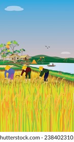 farmer harvest ricen paddy field vector design