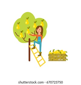 Farmer harvest from tree icon. Agricultural farming vector illustration isolated on white background.