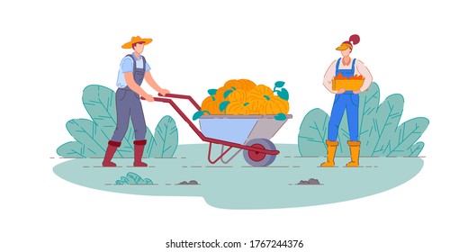 Farmer harvesting pumpkins. Isolated farmer man and woman people cartoon characters with pumpkins harvest in farm wheelbarrow cart and crate harvesting vegetable crops. Vector agriculture, farming