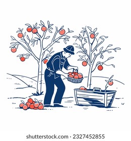 A farmer harvesting ripe apples in an orchard during autumn, vector illustration