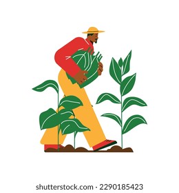 Explotación agrícola de hojas de tabaco, ilustración plana vectorial aislada en fondo blanco. Plantación de plantas de tabaco. Concepto de la industria tabacalera y la fabricación. Producción de productos de cigarrillos.