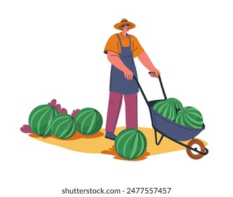 Farmer Harvesting Watermelons Illustration vector