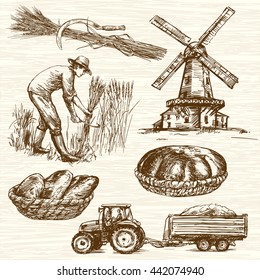 Farmer harvesting wheat. Hand drawn collection.