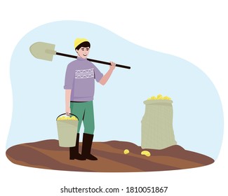 A farmer harvests potato tubers in the field. There are potatoes in the bucket and bag. A man stands with a shovel and a bucket of potatoes. Flat vector illustration.
