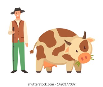 Farmer in hat and spotted cow isolated cartoon domesticated rustic animal with horns. Vector young bovine calf isolated, farming and agriculture concept