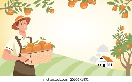 Farmer with hat and suspenders carrying a basket full of ripe oranges in an orchard.