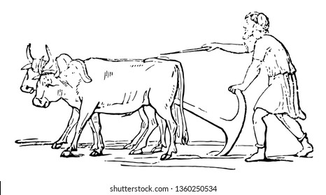 A farmer and his bull, vintage line drawing or engraving illustration.