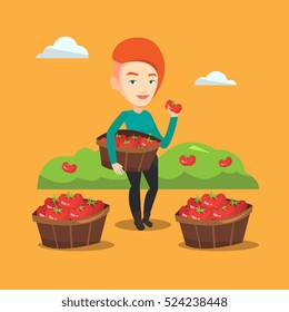 Farmer holding basket with tomatoes. Farmer showing ripe red tomato on the background of field with bushes of tomatoes. Farmer collecting tomatos. Vector flat design illustration. Square layout.
