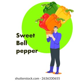 Farmer holding crate of sweet bell peppers. Harvest season. Isolated vector illustration.