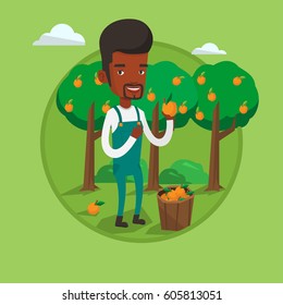 Farmer holding an orange on the background of orange trees. Farmer collecting oranges. Gardener standing near basket with oranges. Vector flat design illustration in the circle isolated on background.