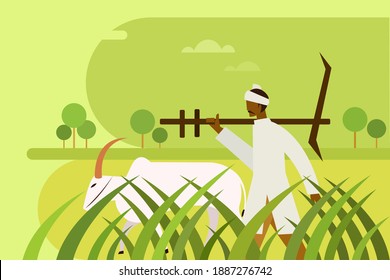 Farmer Holding A Plow Walks With A Bullock Through The Agricultural Field 