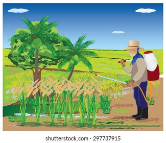 the farmer insecticide in paddy field vector design
