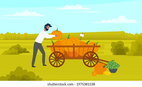 Farmer male character puts large pumpkin in cart, wheelbarrow full of vegetables. Agricultural farm worker, autumn harvest. Man going with vegetables in cart, harvesting pumpkin, preparing for fair