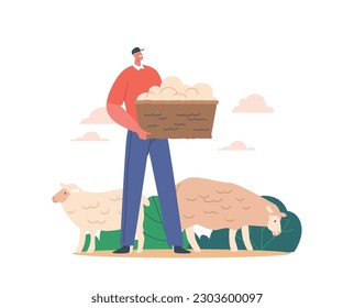 Farmer Male or Sheepshearer Character Holding Basket With Sheep Wool On Livestock. Wool Is Sheared From The Sheep's Coat