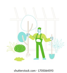 Farmer Man Character in Overalls Working in Garden Digging Soil and Care of Plants in Greenhouse. Gardener Planting Tree to Ground in Warm House, Active Hobby or Work. Linear Vector Illustration