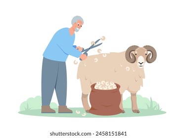 Farmer man shearing or trimming ram. Male character taking care of sheep isolated on white background. Farming concept Vector illustration.