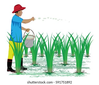farmer manure rice plant vector design