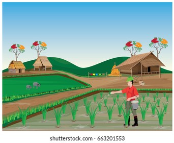 farmer manure rice plant vector design