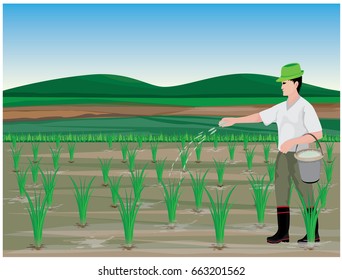 farmer manure rice plant vector design