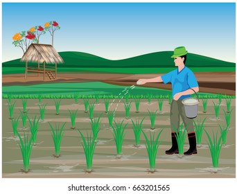 farmer manure rice plant vector design