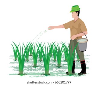 farmer manure rice plant vector design