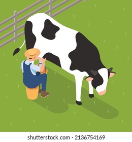 farmer milking cow isometric farming