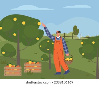 Farmer on farm flat vector illustration. Agricultural worker harvesting crops. Corn harvesting. worker reaping harvest, picking organic vegetables, Countryside, farmland, agriculture concept