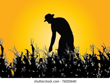 farmer on the field at dusk