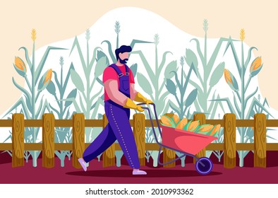 The farmer in overalls carrying a red wheelbarrow full of corn through a field. Organic vegetables. Autumn season harvest. Agricultural work. Colorful vector illustration.