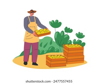 Granjero que empaca las manzanas Ilustración Vector