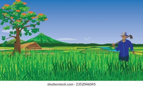 farmer in paddy field vector design