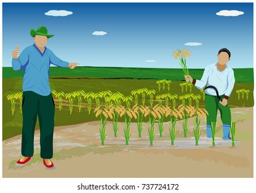farmer in paddy field vector design