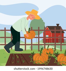 farmer picking crop of pumpkins cartoon