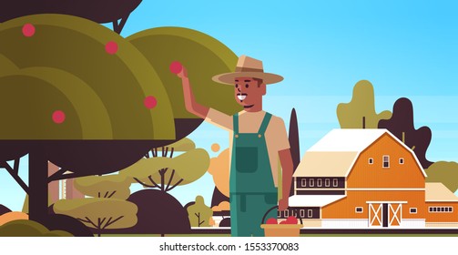 farmer picking ripe apples from tree african american man gathering fruits in garden harvest season concept countryside background flat horizontal portrait vector illustration