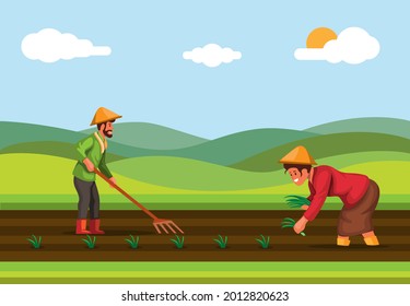 Farmer Plant Rice Rice Field Agriculture Stock Vector (Royalty Free ...