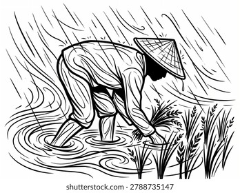 Farmer Planting Rice in Rain, Vector Illustration of an Asian Farmer Wearing Conical Hat Working in a Flooded Paddy Field During Heavy Monsoon Rainfall